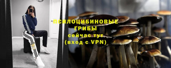 spice Протвино