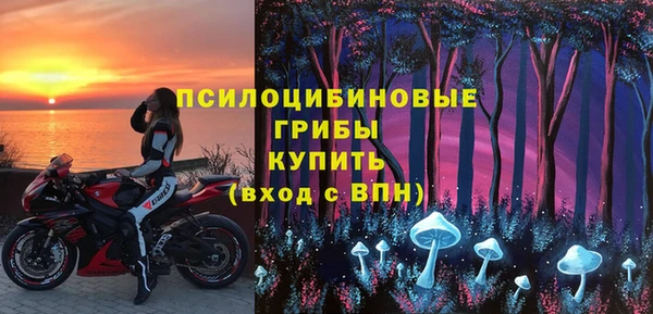 ГАЛЛЮЦИНОГЕННЫЕ ГРИБЫ Приозерск