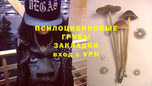 ГАЛЛЮЦИНОГЕННЫЕ ГРИБЫ Приозерск