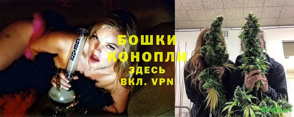spice Протвино
