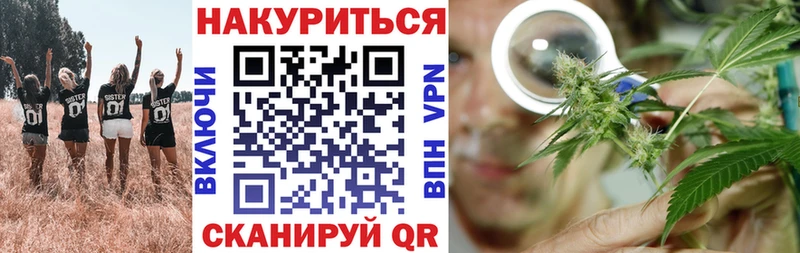 Бошки Шишки план  Феодосия 